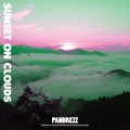 Pandrezz - Foam