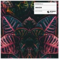 Bougenvilla - Amazon (ExtendedMix)