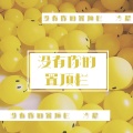 冷晨 - 没有你的置顶栏