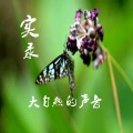 纯音乐 - 【高品质】雨越下越大了