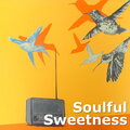 Soulful Sweetness