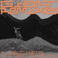 Calvin Harris、Rag'n'Bone Man - Giant