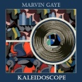 Marvin Gaye - You Are My Sunshine