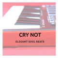 Elegant Soul Beats - Cry Not