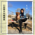 心如草木向着春来