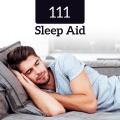Restfull Sleep Music Collection - Quick Step to Dreams