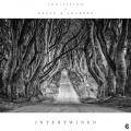 Indivision、Deuce & Charger - Intertwined