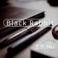 王彦、Mei - Black Rabbit