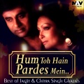 jagjit singh、Chitra Singh - Kiya Hai Pyar Jise Humne Zindagi Ki Tarah