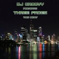 Three Faces、DJ Groovy - This Night
