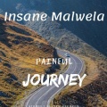 Insane Malwela - Complicated Words