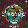 AD Family、Qwiss - Shrap Soul (Explicit)
