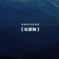 谭晶 - 壮家妹