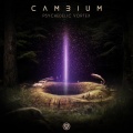 Cambium - Infinity
