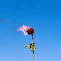 Graves、Lil Narnia - Glass Hearts (How Much You Mean)(Explicit)