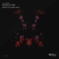Vikthor - Revolution