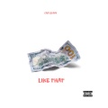 CAM QVINN - Like That (Explicit)