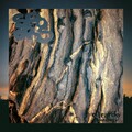 Vimana - Dimension of Begin