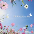広橋真紀子 - Hana-no Jikan
