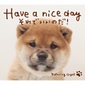 Have a Nice Day