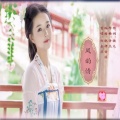 刘金兰 - 凤韵情