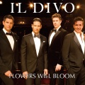 Il Divo - Flowers Will Bloom