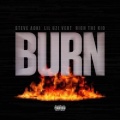 Steve Aoki、Rich The Kid、Lil Uzi Vert - Burn