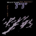 Marvin Gaye - Stubborn Kind Of Fellow