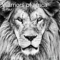 DJ Paul - Warriors of Africa