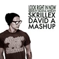 Skrillex、Sirah - Weekends!!! (David A Remix)
