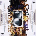 The Herbaliser - The Real Killer