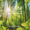 ASMR Lullaby - Forest Sounds That Purifies the Mind