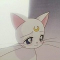 EEVEE - romance