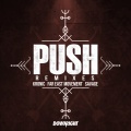 Push (Ricky Remedy Remix|Explicit)