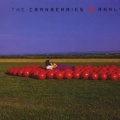 The Cranberries - I Can't Be with You (Live at Vicar Street)