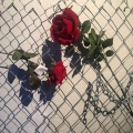 Atwood、Indii G. - Nothing To Lose ((Explicit))