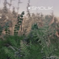 Smolik - 0.0