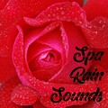 White Noise Meditation、SPA、Sounds Of Nature : Thunderstorm、Sounds Of Nature : Thunderstorm, Rain - Dark Storm