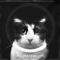 Dem Slackers - Meow