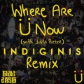 Indiginis - Where Are Ü Now