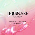 Tensnake、Fiora - See Right Through (Medlar Remix)