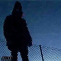 cat soup、Bones - it's just a few
