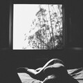 parade - 404