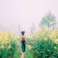 觉醒之心 - Nightingale (夜莺)