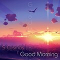 S-Cosmos - Sonic adventure