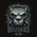 Tha Playah、DJ Mad Dog - Enter the Time Machine (DJ Mad Dog Mix)