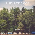 Junior J、Bright Sparks - Do What You Do (Extended Mix)