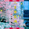 王恒、陌小云 - 八百里花海