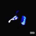 The Boy、Drulira - Fly Away (Explicit)