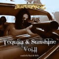 Tequila & Sunshine, Vol. 11(Compiled by Mario De Bellis)